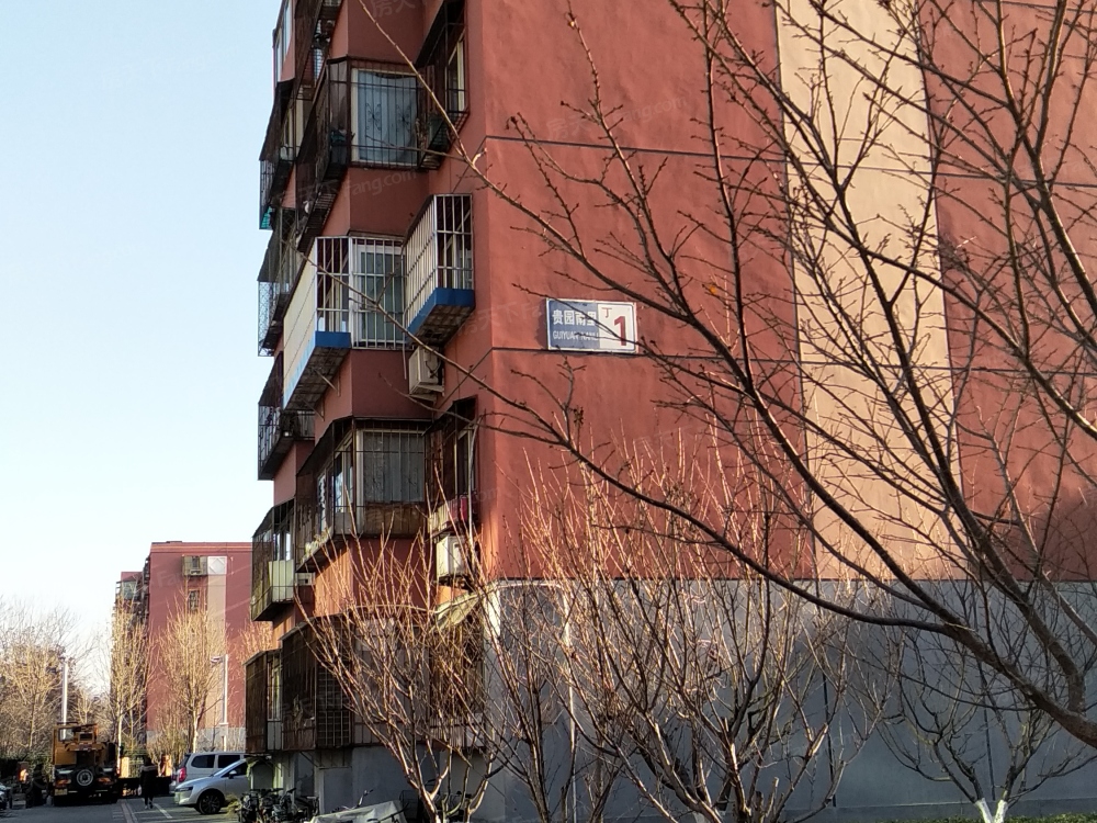 实景图