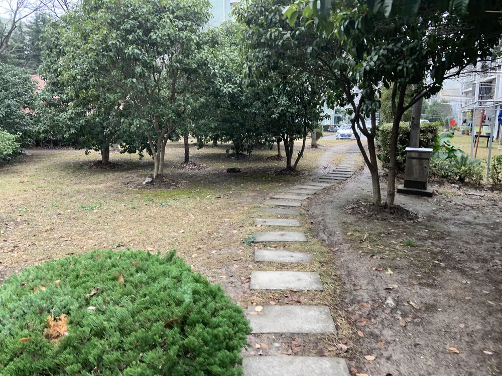 小区相关图