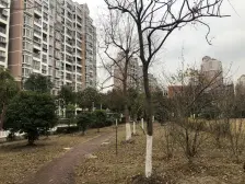 房子位于小区安静地段,电梯高层,原一室一户一卫