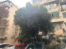 电梯刷卡入户直线距离600米到江湾地铁站(高德地图)