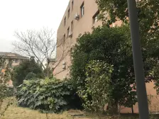 古春苑 1室1厅 南 北