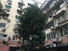 93年房龄,地铁347号线镇坪路三轨交,非顶楼,诚意卖