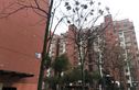 扬子新苑实景图