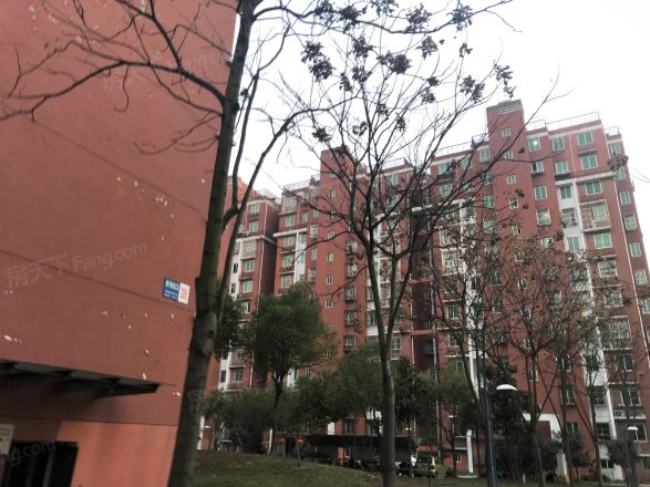 扬子新苑实景图