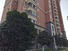 近双轨 户型方正 全明 税费低 业主诚意出售