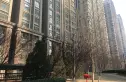 中新城上城一期龙亭家园实景图