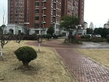 近醉白池地铁站,楼层,采光视野好,电梯小两房