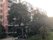 小区稀有户型,精装顶楼带阁楼 洋房 得房率高