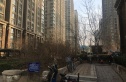 中新城上城一期龙亭家园实景图