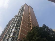 世纪东方大平层4房 电梯高层 俯瞰东部新城 精装保养好