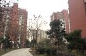 扬子新苑实景图