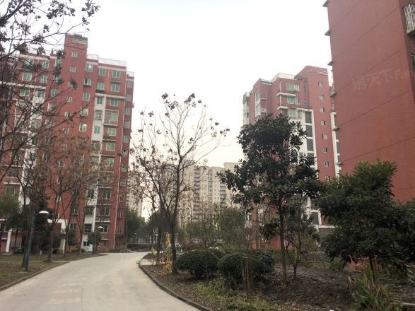 扬子新苑实景图