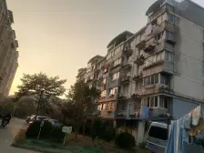 新月桃苑3室南朝向175.00万元/套出售