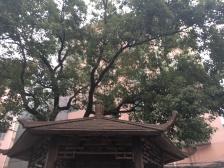 甘泉宜川·宜川二村·分门朝南一室户。