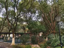 张泾新村一区 全毛坯 大户 小区中间位置 随时看房