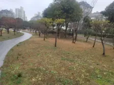 友谊家园2室南朝向360.00万元/套出售