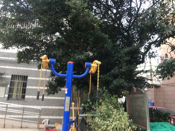 友谊大楼实景图