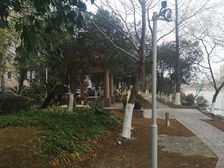 近东部 地铁1号线口 盛世东方 户型方正 业主诚心出售