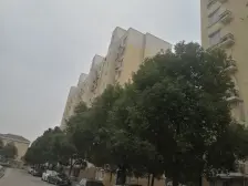 老港镇·德盈佳园·3室·2厅