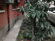 普陀 中山北路1243弄小区 3室1厅1卫