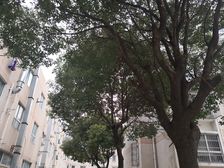 店长力荐!近地铁,闹中取静,价格看中可谈,诚意出售