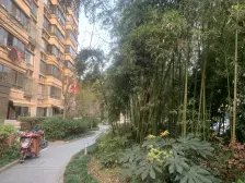 近地铁,中间楼层,电梯房 现场实勘,新上房源