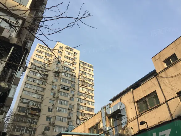 青年湖东里实景图