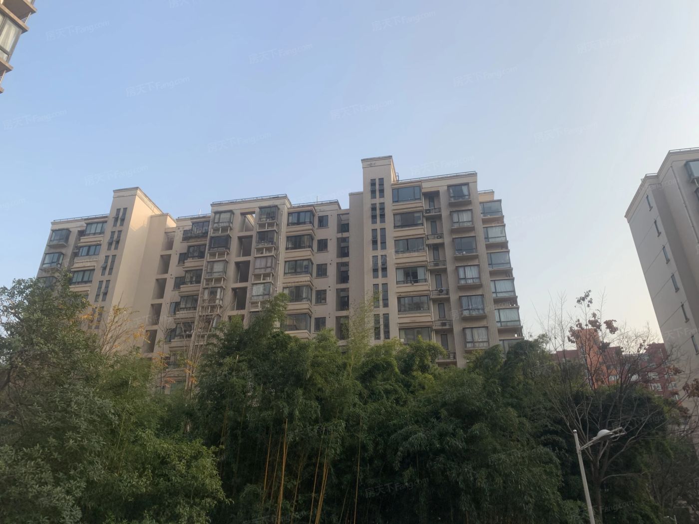 实景图