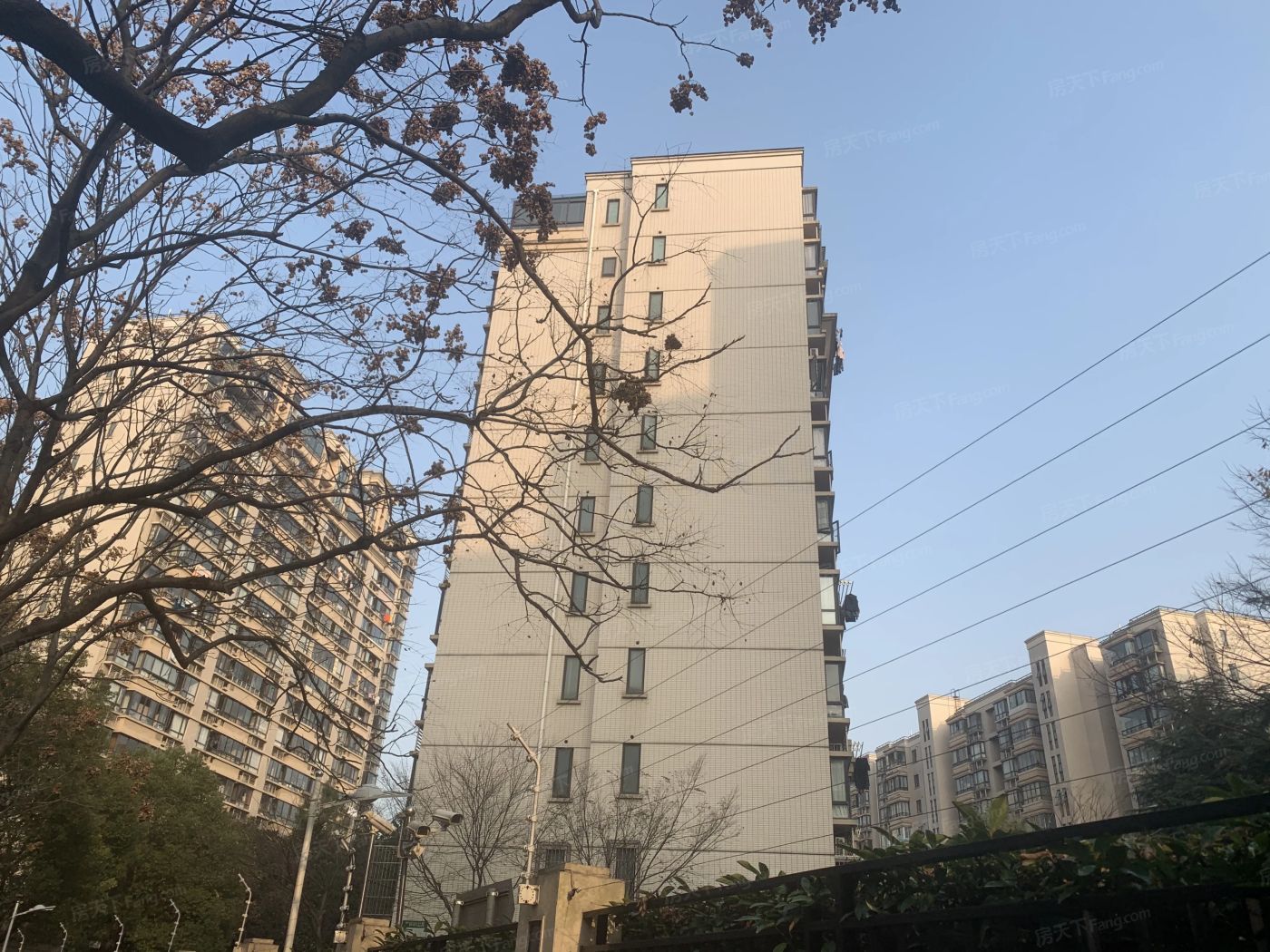 实景图