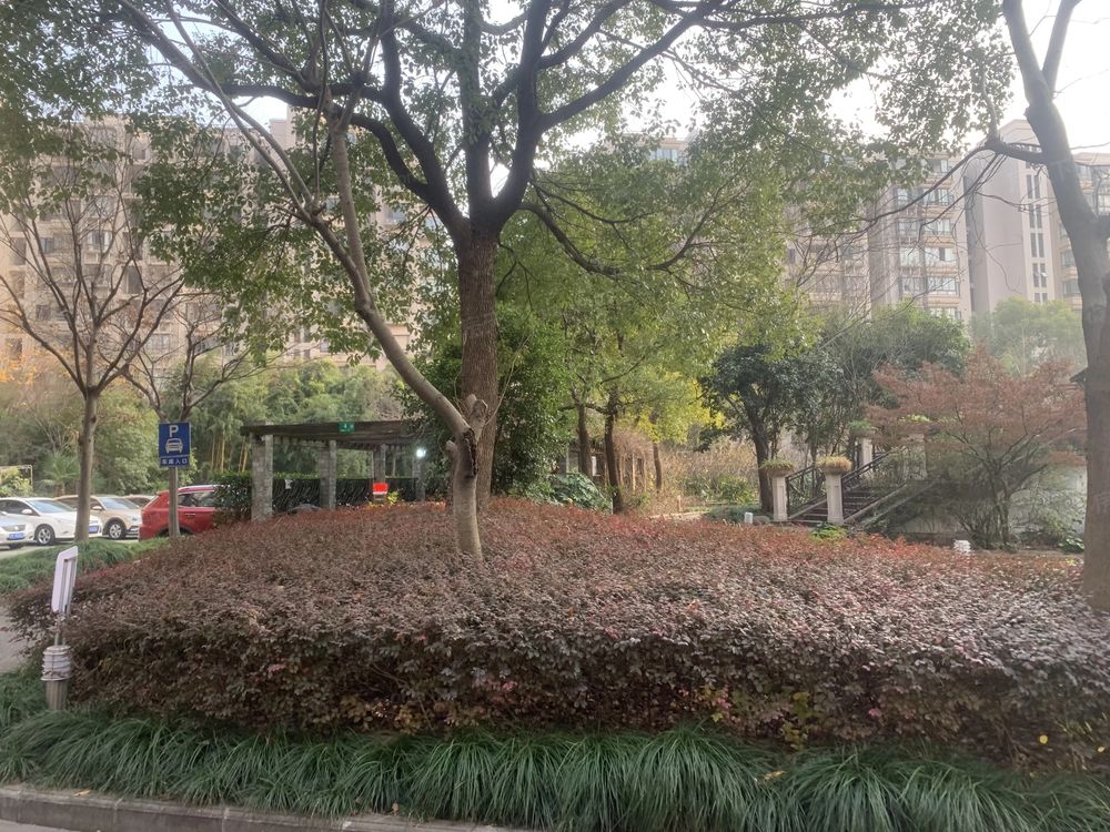 小区相关图