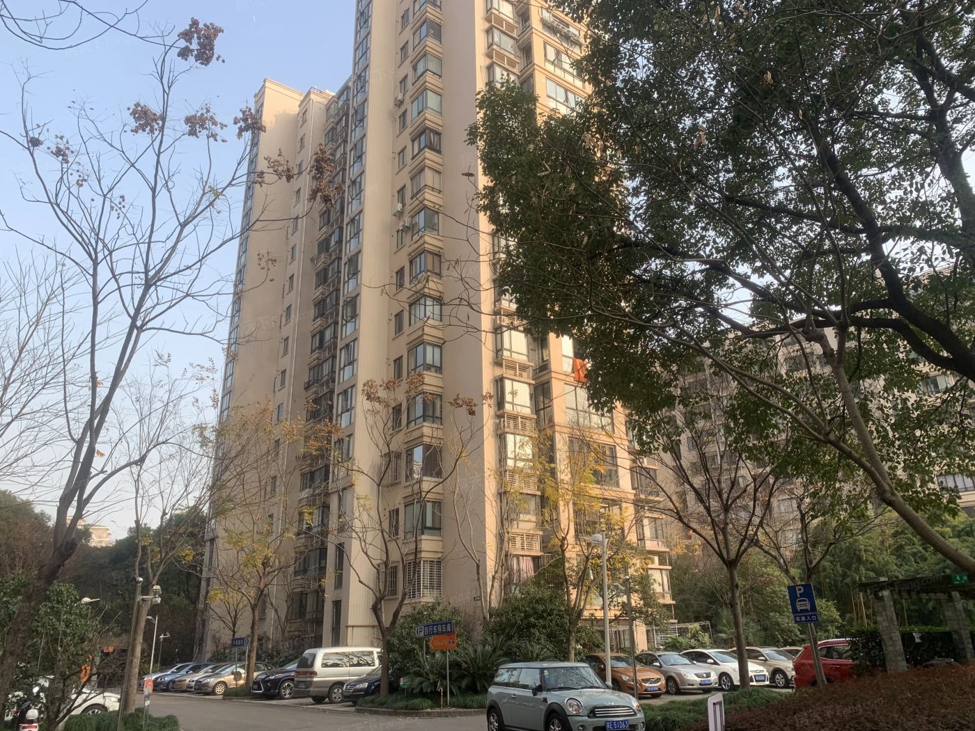 实景图