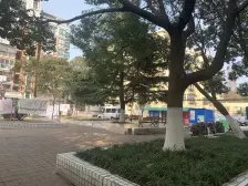 近地铁全明户型 +一楼带天井+满五年税少+精装修