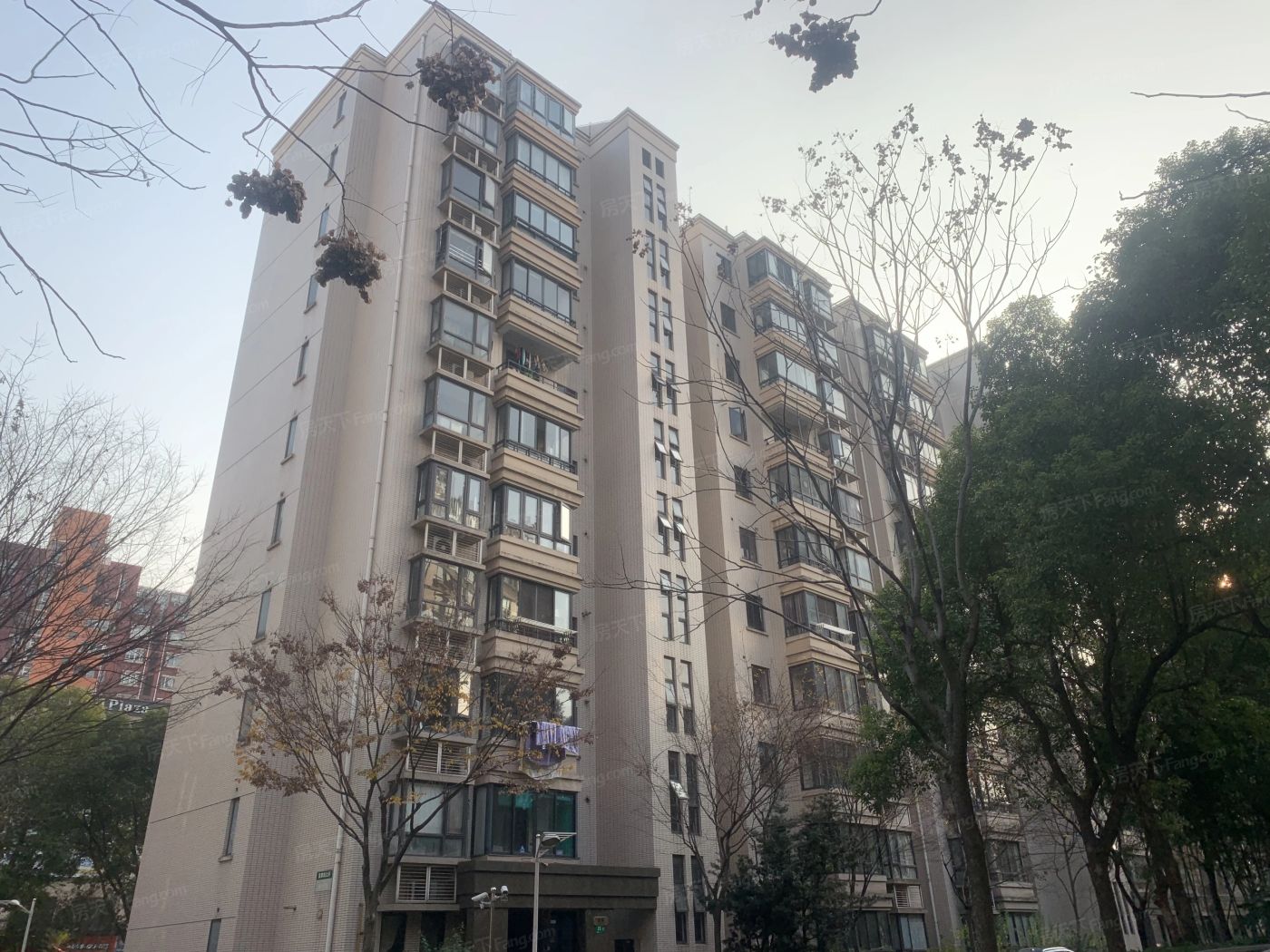 实景图