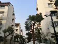 观前商圈博物馆附近独栋别墅环院苏式园林风格