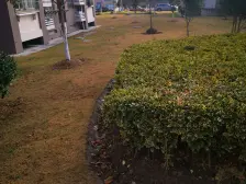 2015年次新小区,南北通户型,采光好,通风好