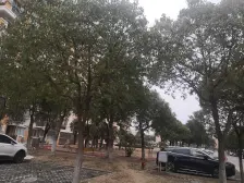 业主自住精装,楼层好户型好靠河位置好,价格可谈。