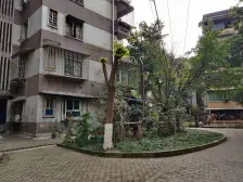 石坪桥 石坪桥正街、横街片区二房35万