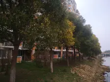 中层,税少,有钥匙,南北通,位置好,业主置换,可谈