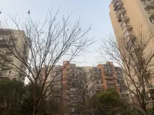 颛桥·君莲新城广润苑·1室·1厅