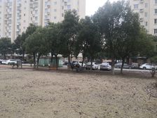 老港镇·德盈佳园·3室·2厅