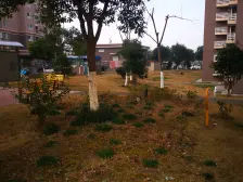 新上电梯中区,精装南北通三房,意境感拉满,有固定车位,诚售