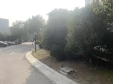 电梯房,楼林新,近5号线地//铁旁,总价不高,别墅小区,环境