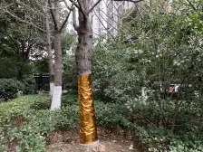 新上南环电梯房 不靠高架 户型全明 近汇邻广场