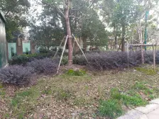 双星湾 金鸡湖畔东方之门全景 方正大一房