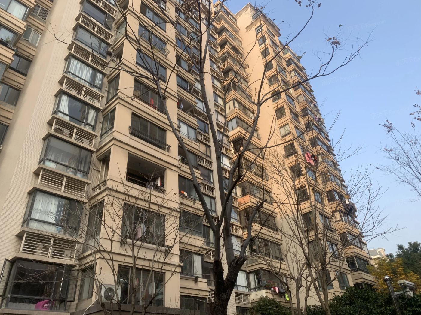 实景图