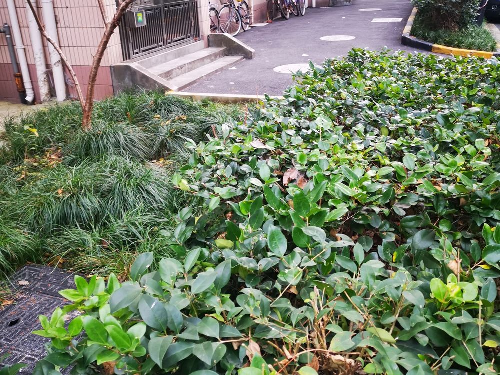 小区相关图