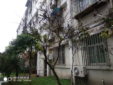 四达路166弄 3室1厅 南