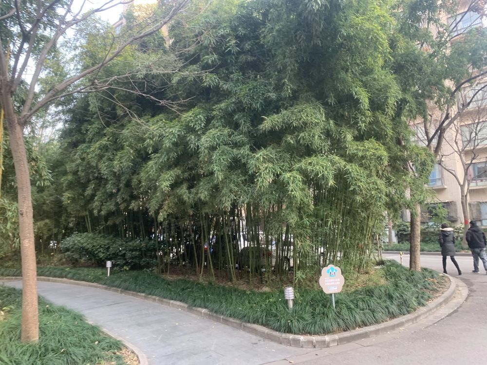 小区相关图