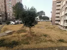 德锦苑 2室1厅 南