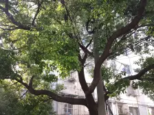 新上大龙港新村 中间楼层精致装修拎包入住 带独立车库